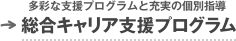 多彩な支援プログラムと充実の個別指導[総合キャリア支援プログラム]